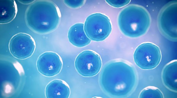 Tratamiento de Células Madre